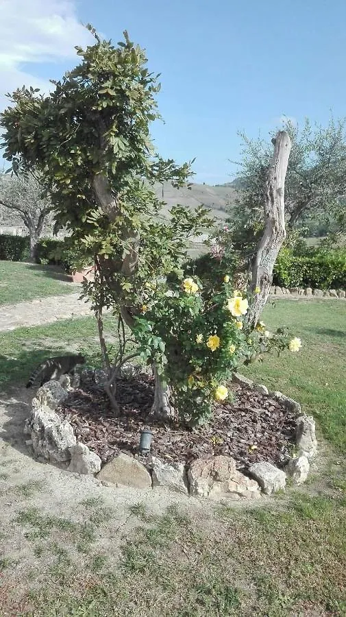 Farm stay Agriturismo Casa Al Povero Volterra